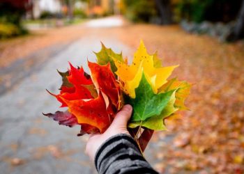 Uređenje interijera