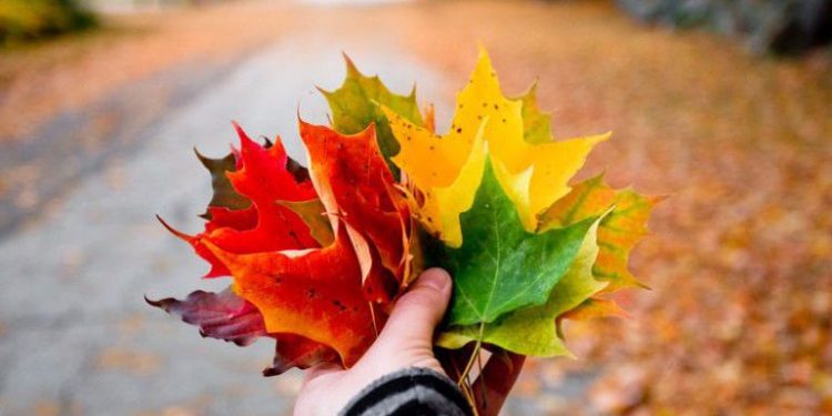 Uređenje interijera