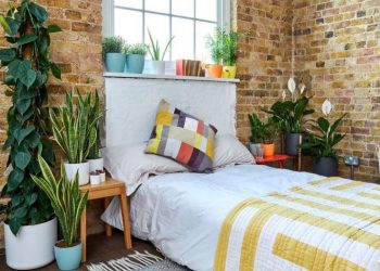 Biljke u spavaćoj sobi