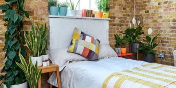 Biljke u spavaćoj sobi