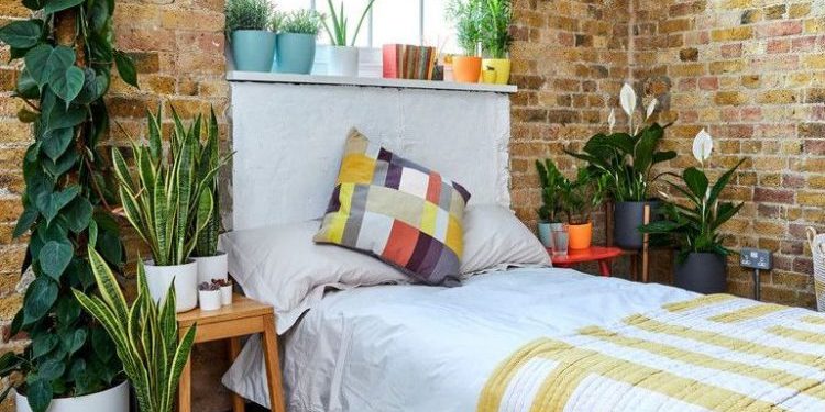 Biljke u spavaćoj sobi